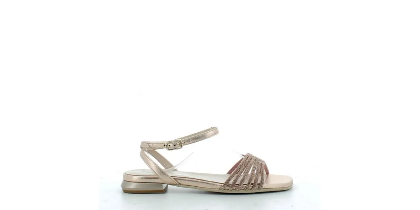 scarpe_nero_giardini_donn_4-15.webp Scarpe Nero Giardini donna 307331P23 PHARD